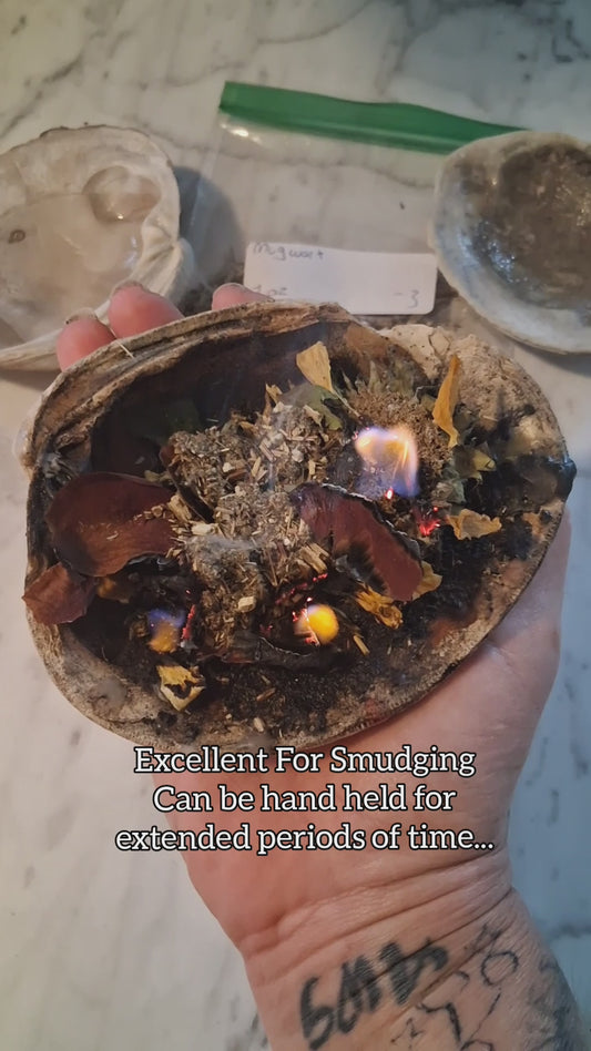 Altar Bowls ● Sea Shell Incense Holders  ●Smudge Bowls ● Witchcraft ● Paganism