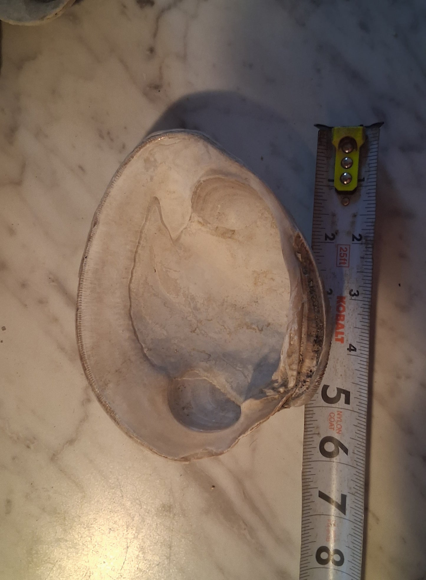 Altar Bowls ● Sea Shell Incense Holders  ●Smudge Bowls ● Witchcraft ● Paganism